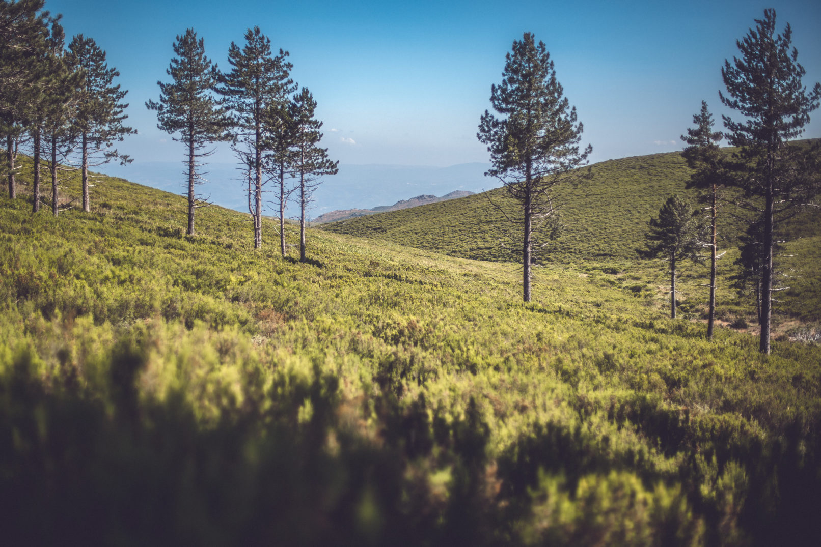 Parque Natural do Alvão