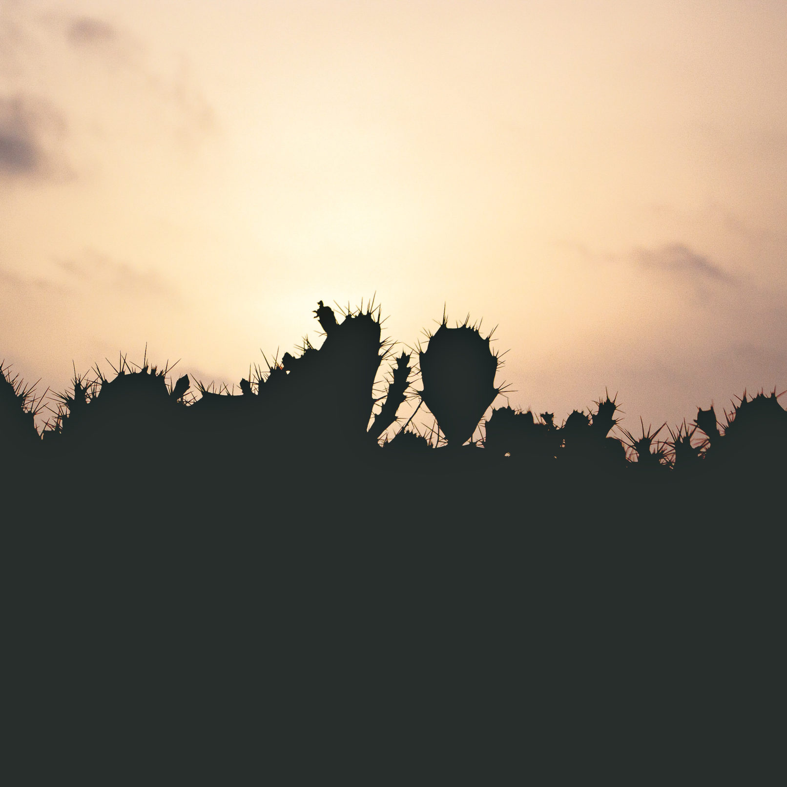 Fuerteventura, Spain