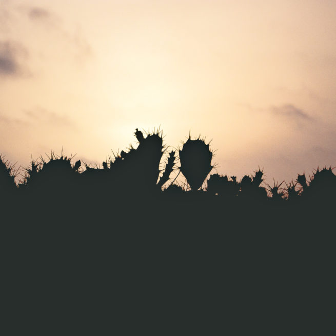 Fuerteventura, Spain