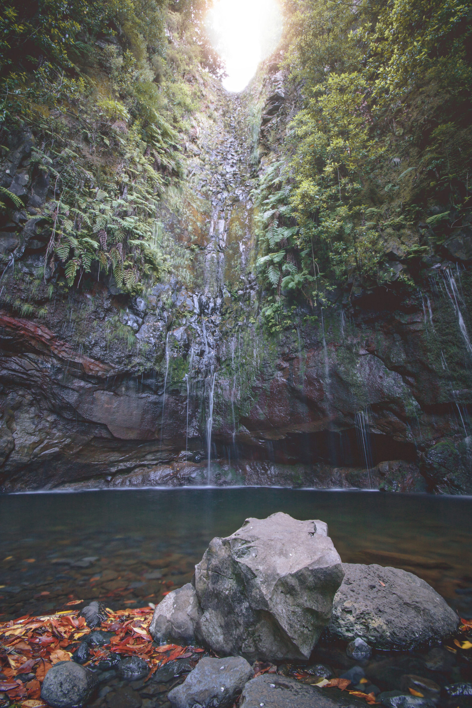 Levada das 25 Fontes