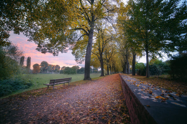 Cologne, Poll, Germany